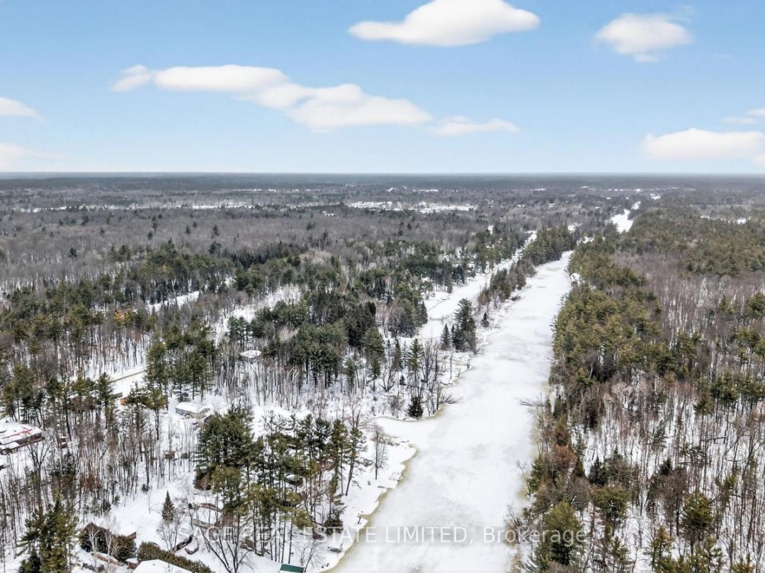 7856 BIRCH DRIVE, Black River