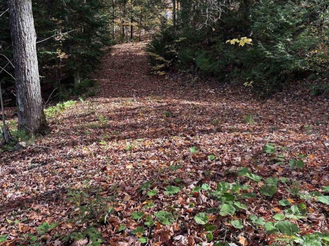 8 Cannonball Lane, Wiley Lake