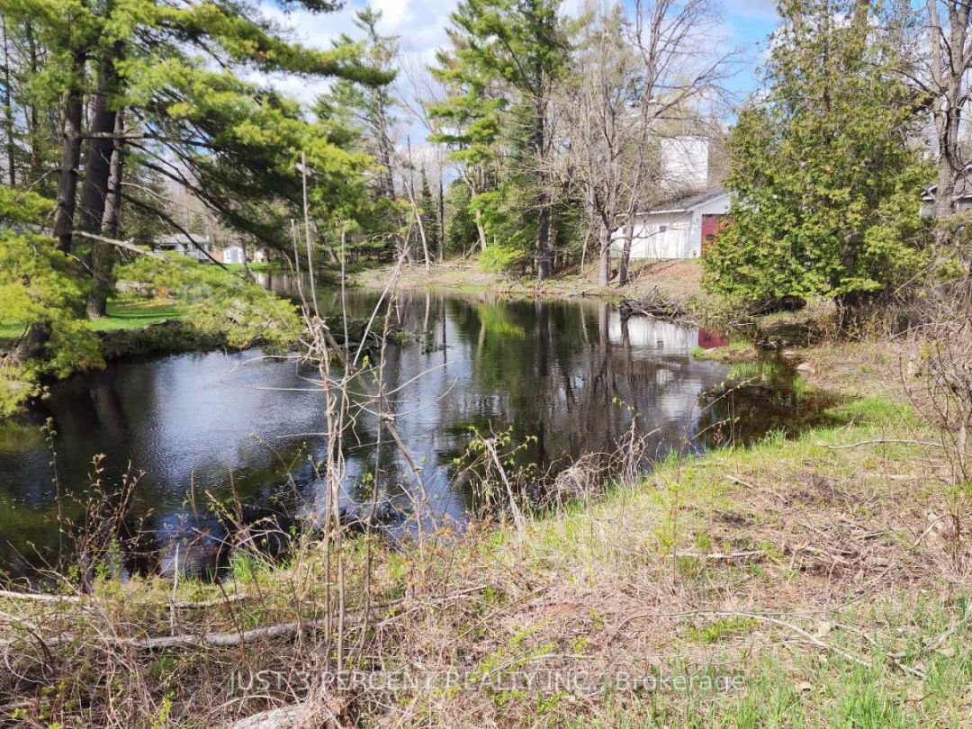55 Northern Avenue, Little Bald Lake