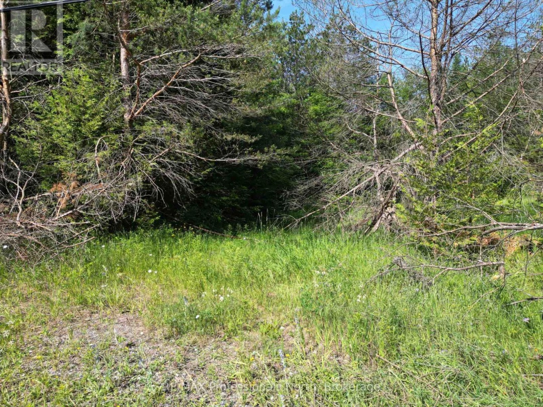 0 COUNTY ROAD 121, 