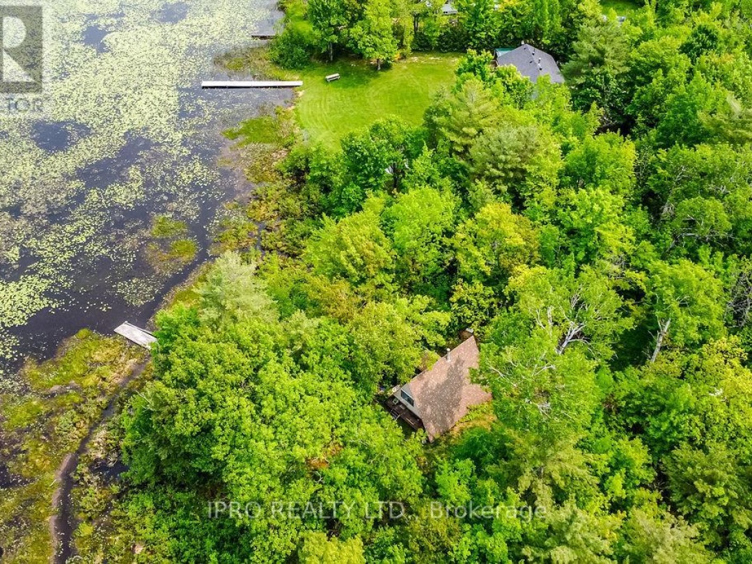 382 Corrievale Road, Little Lake