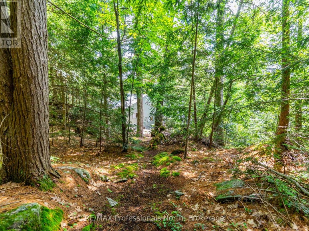 53437 BIG HAWK LAKE, 