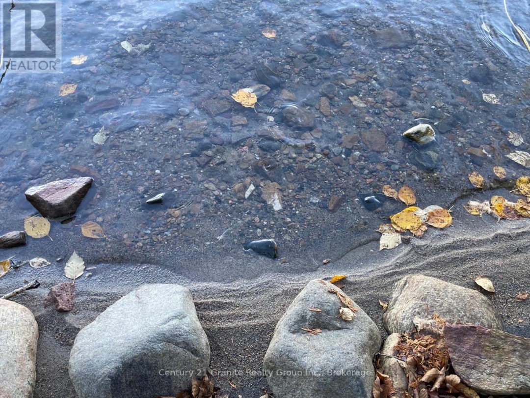 1038 BROKEN PADDLE ROAD, 