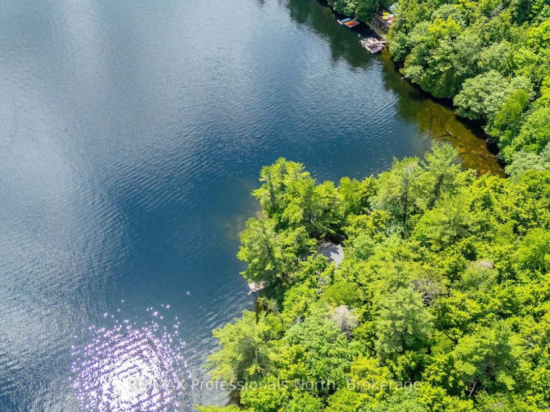 53437 BIG HAWK LAKE, 