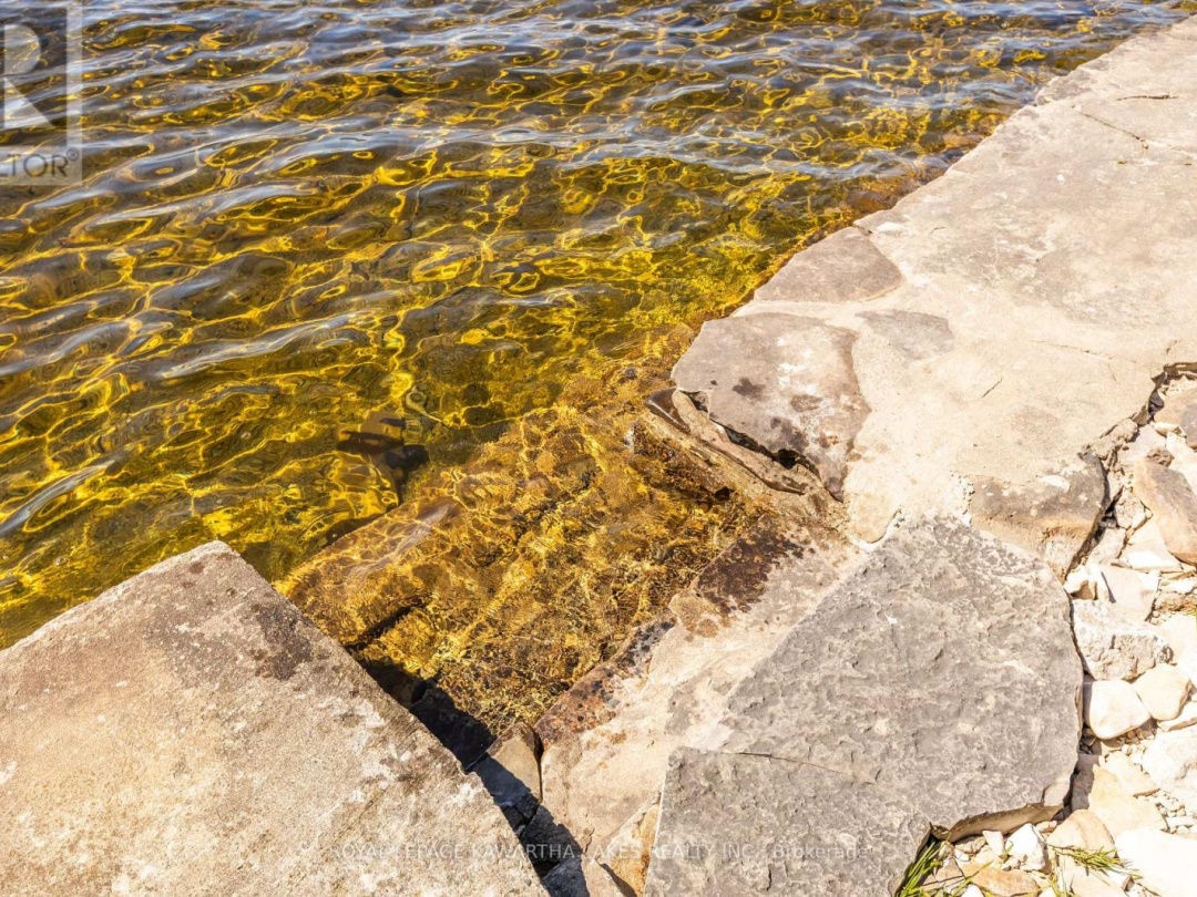 194 Rustic Trail, Four Mile Lake