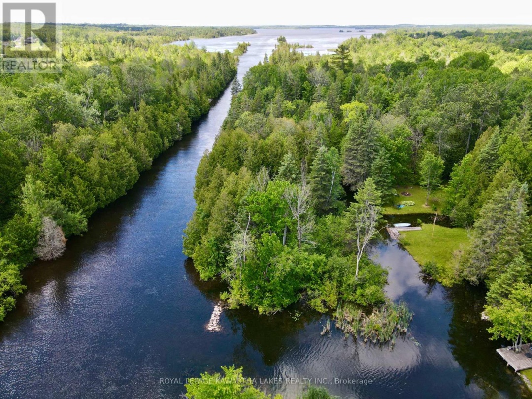 81 Mcguire Beach Road, Trent-severn Waterway