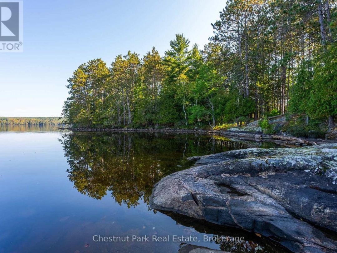 1000 Brown Island, Soyers Lake