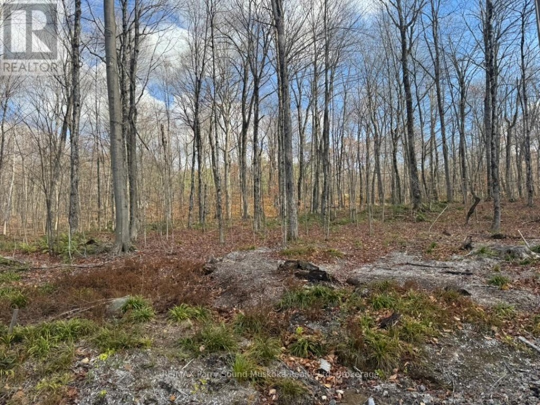 PART 19 STANDING PEOPLE ROAD, 