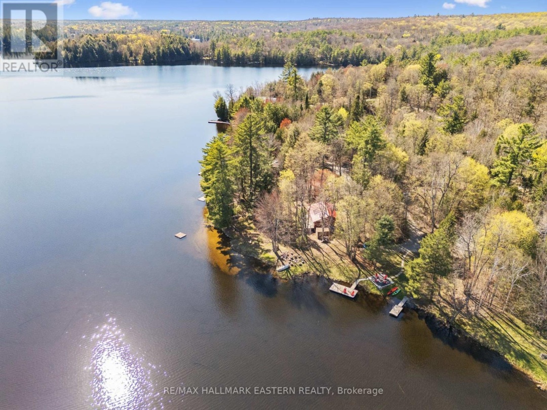 1025 Dickies Lane, Gooderham Lake