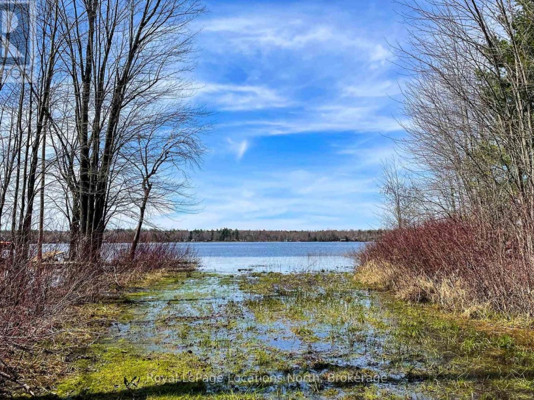 239 Monck Rd Cty 45, Young Lake