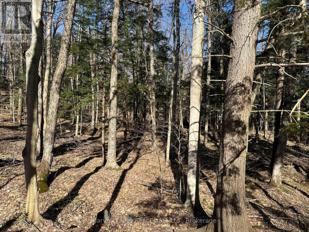 CON 1 PT LOT 12 BARLOCHAN ROAD, 