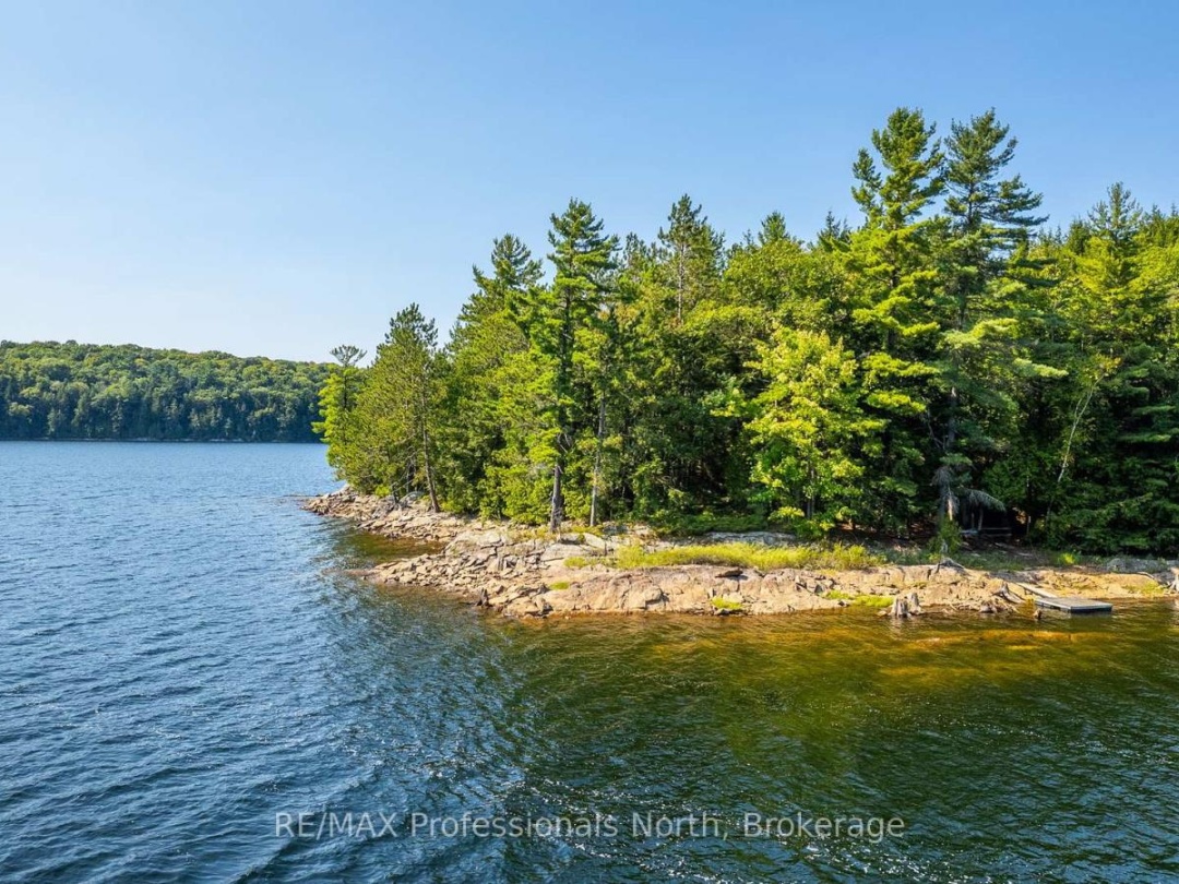 13055 LITTLE HAWK SOUTH SHORE ROAD, 