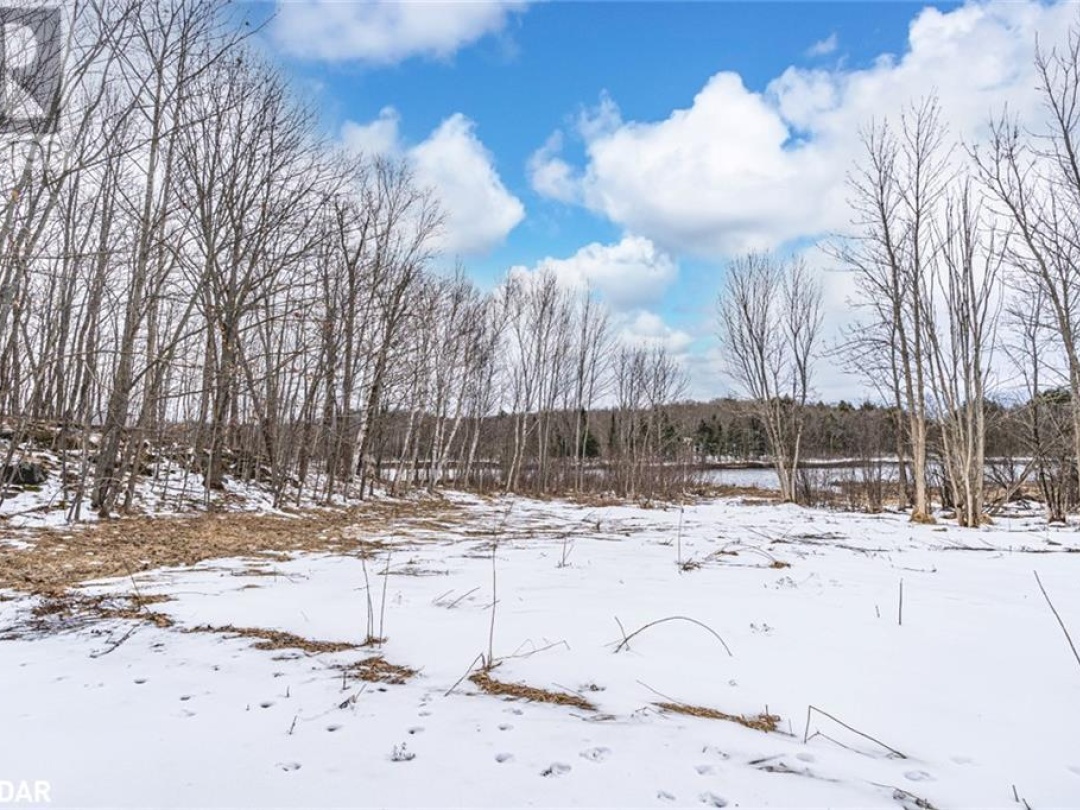 91B HIGHWAY 124, 
