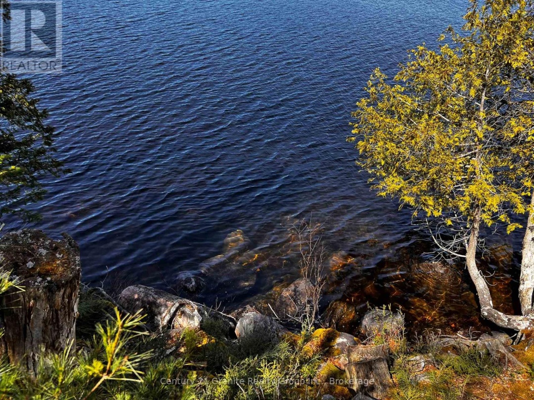 1208 Reg's Trail, Drag Lake