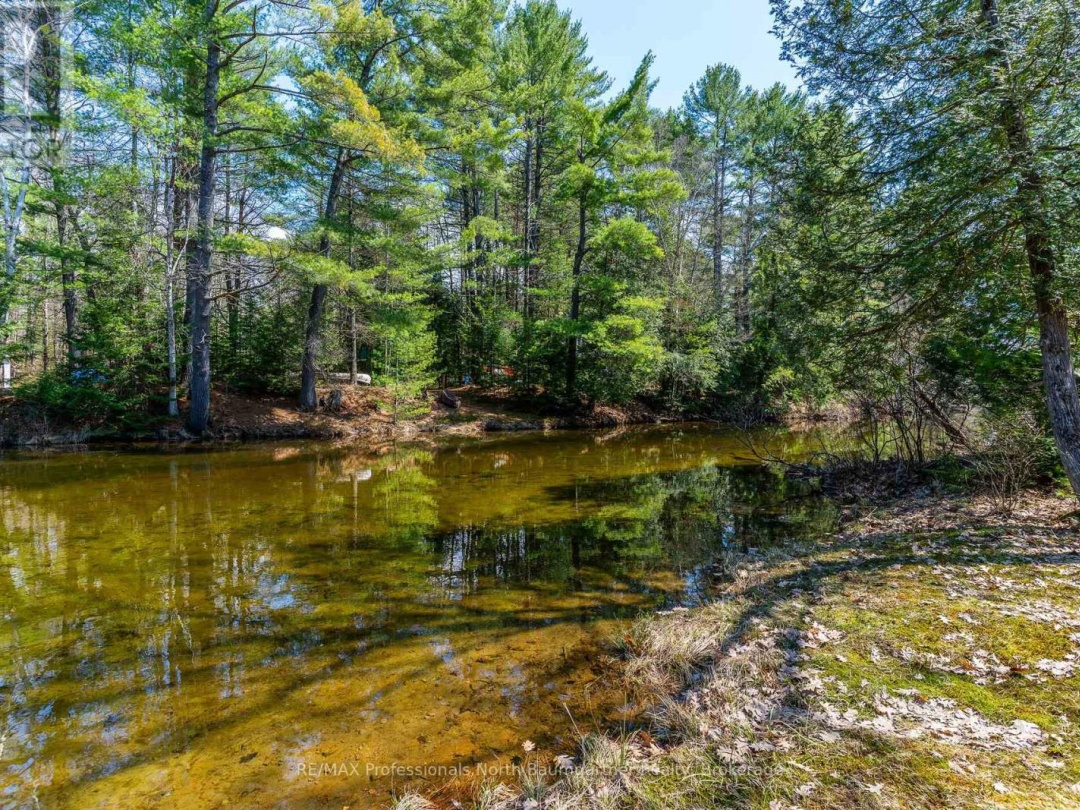 1065 Cloverleaf Road, Kennisis Lake