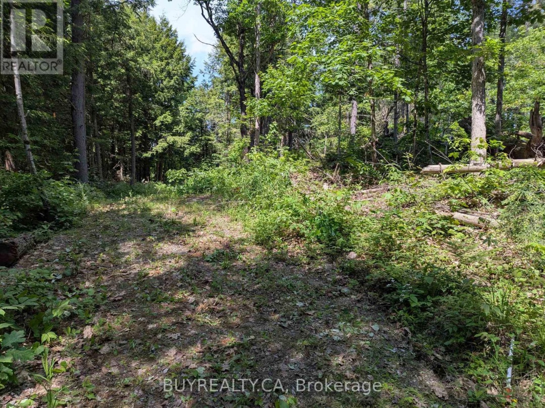 2318 SHERWOOD FOREST LANE, Severn River