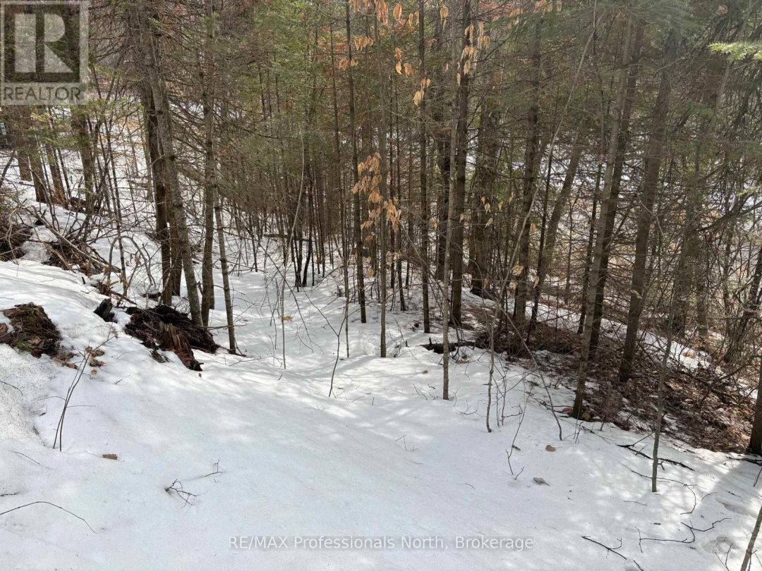 0 TRAPPER'S TRAIL ROAD, Dysart et al (Dudley)