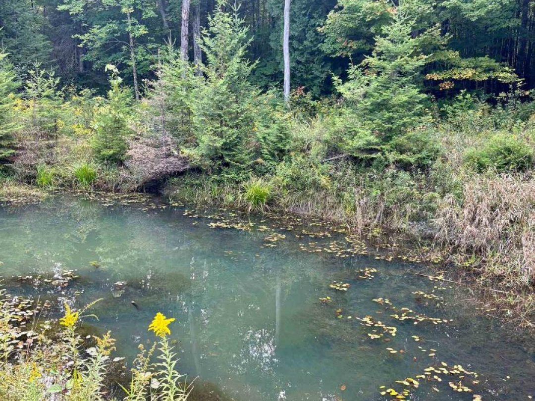 2360 COUNTY ROAD, 