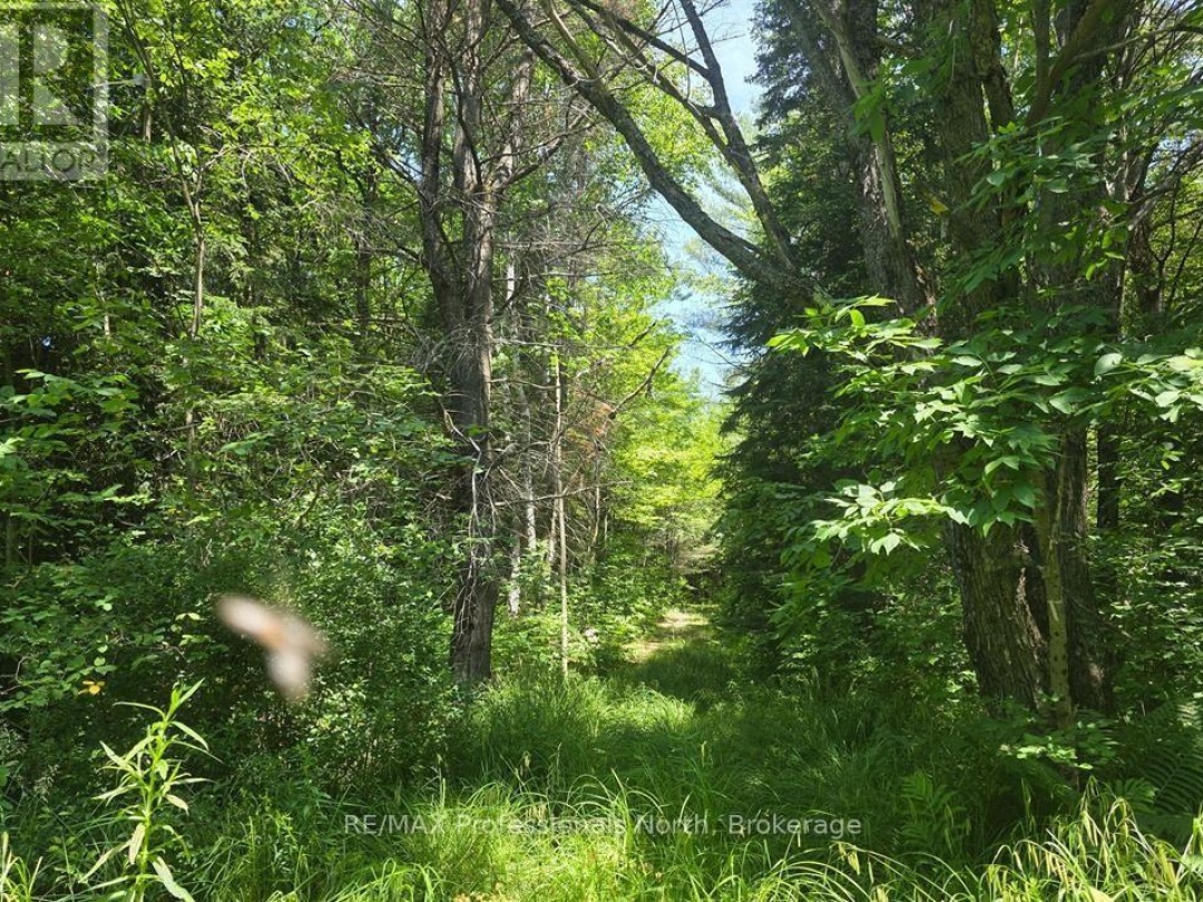 1134 WALKERS LINE ROAD, 