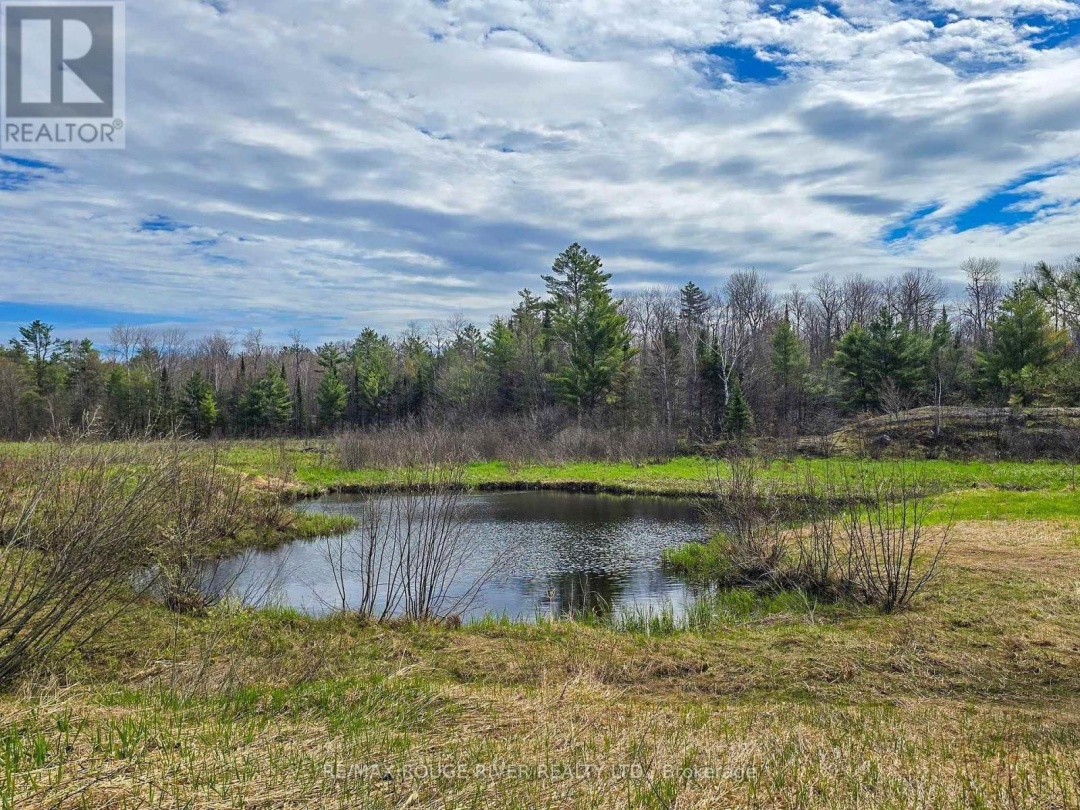 1205 Fair Grounds Road, Ramara