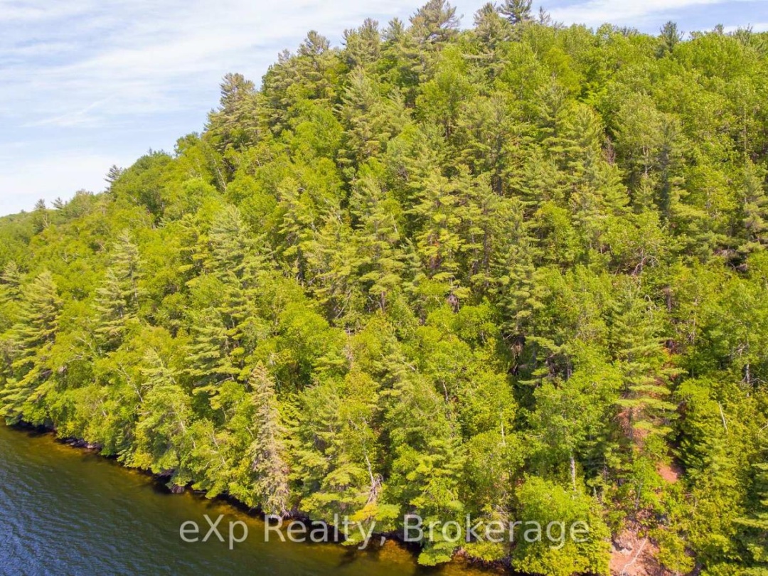 Lot # 4 Gonnsen Trail, Drag Lake