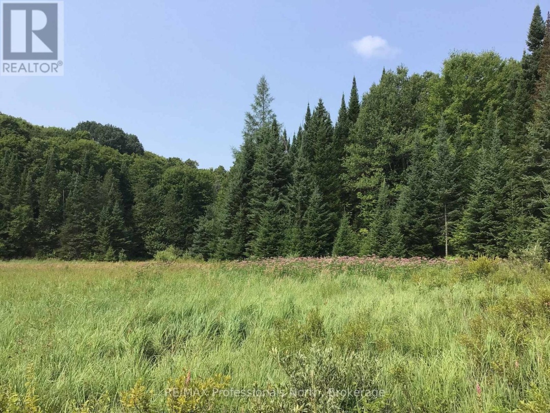 1453 MINNICOCK LAKE ROAD, 