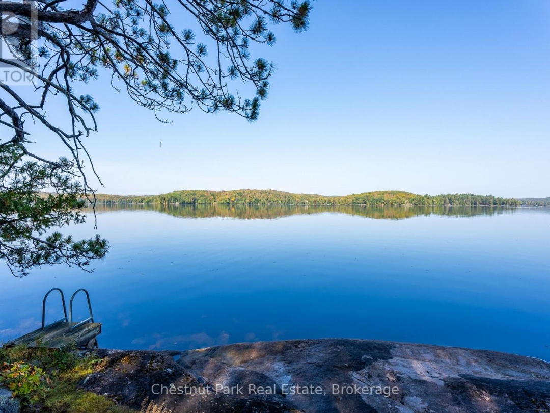 1000 Brown Island, Soyers Lake