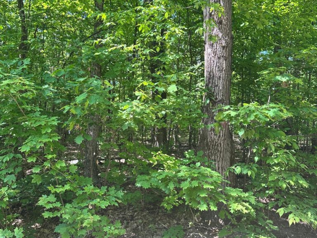 PT LOT 6 CON 10 MONMOUTH MADILL ROAD, 