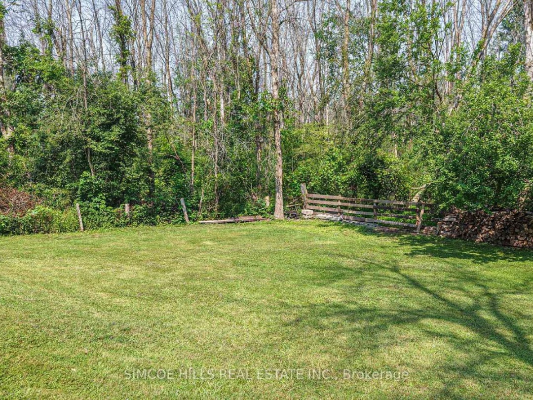 CO - 131 COURTLAND STREET, 
