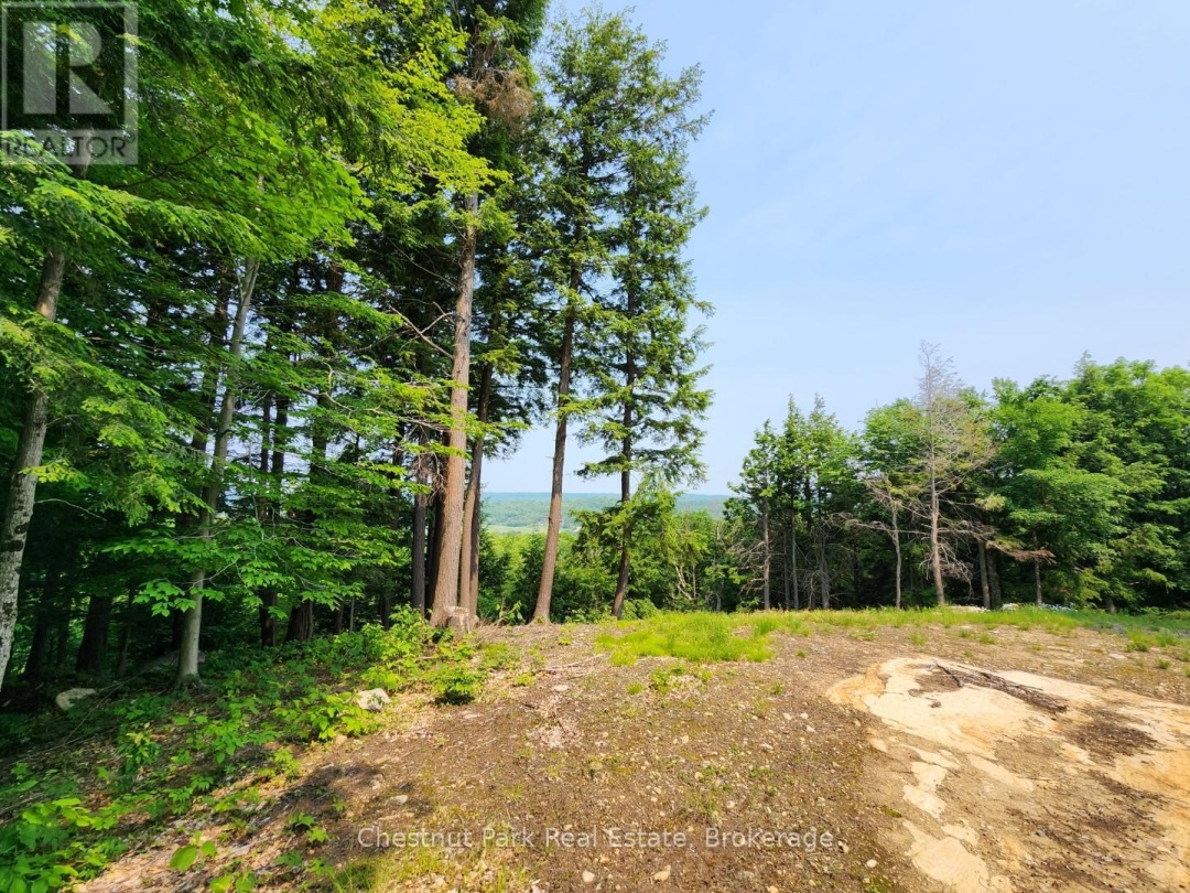 19 OLD HEMLOCK TRAIL, 