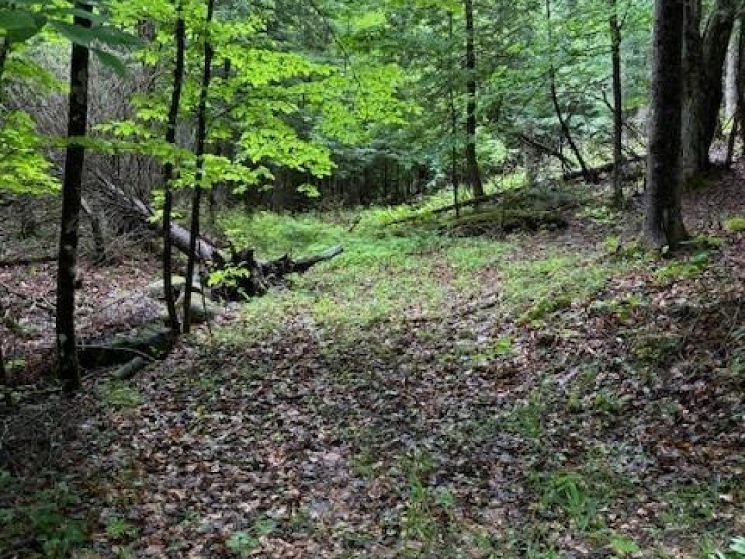 LOT 70 25TH LINE, 