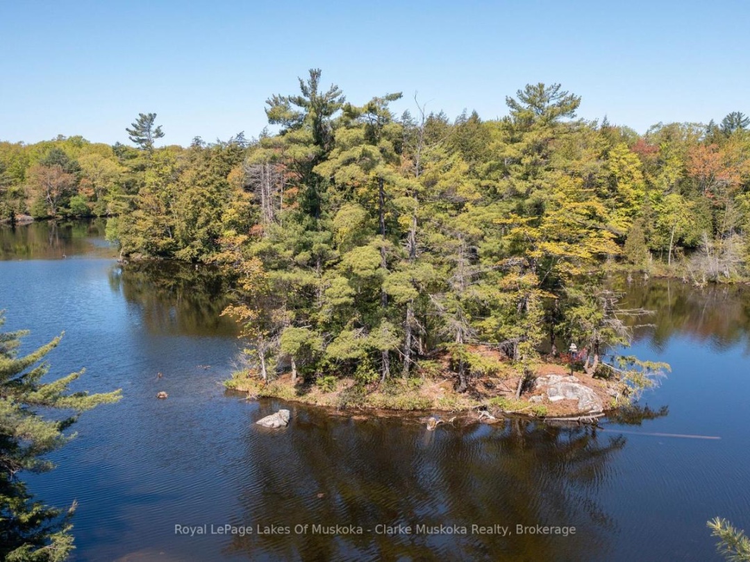 733 Whites Falls Road, Six Mile Lake