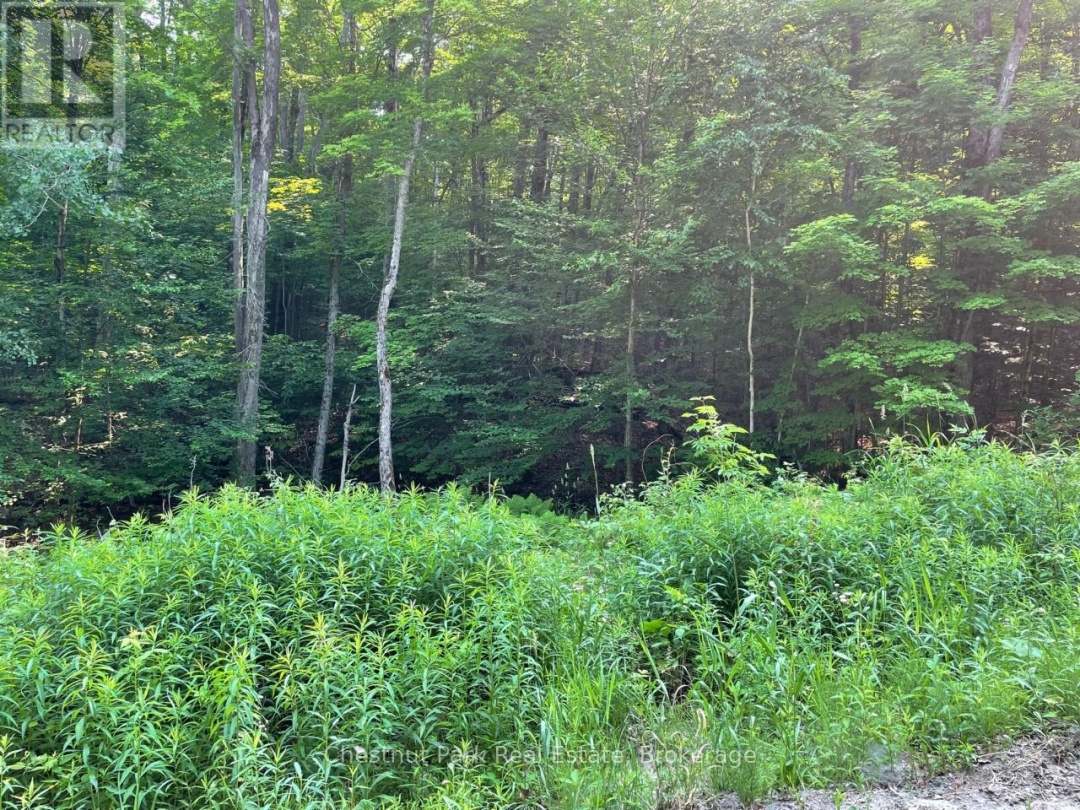 0 COLEMAN LAKE ROAD, 