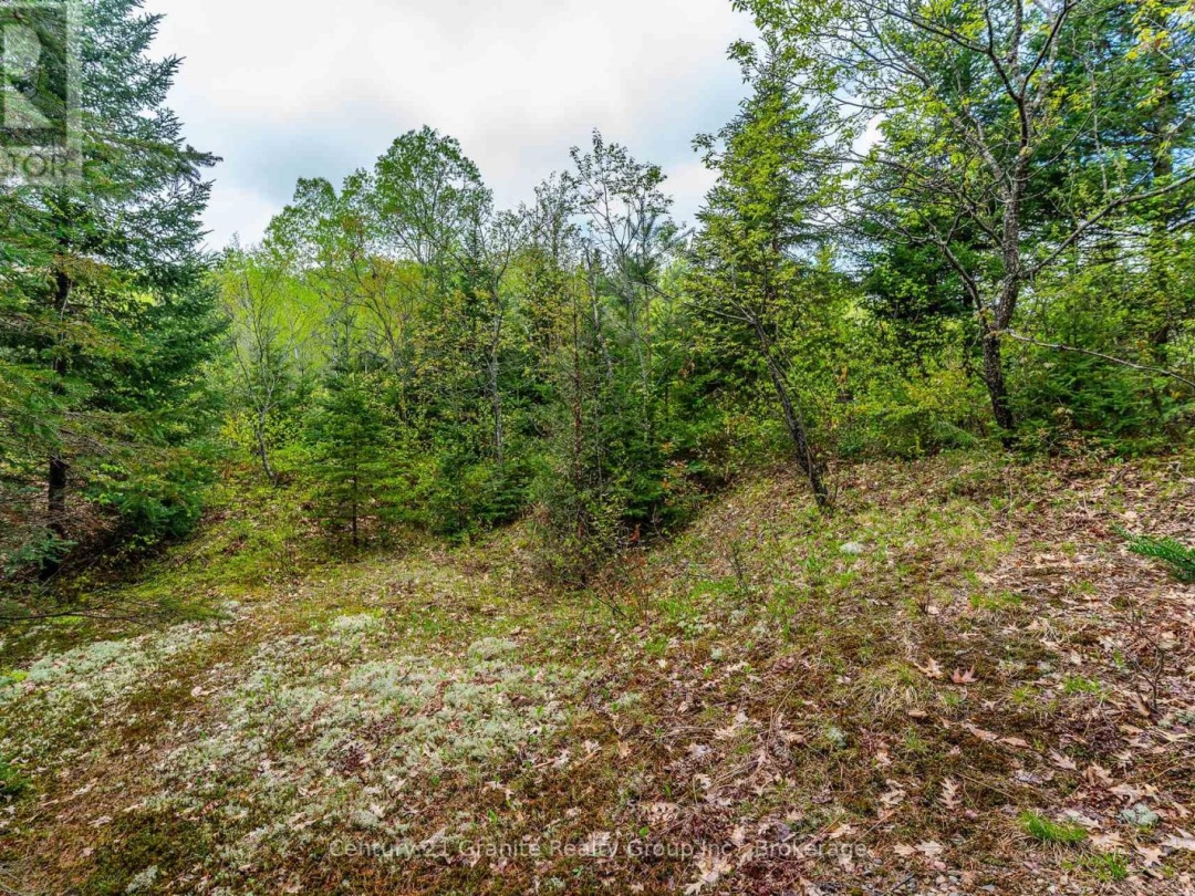 0 Koshlong Lake Road, Burnt Lake