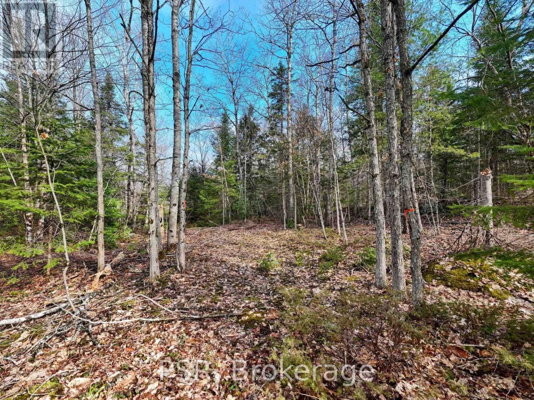 3410 Southwood Road, Gravenhurst