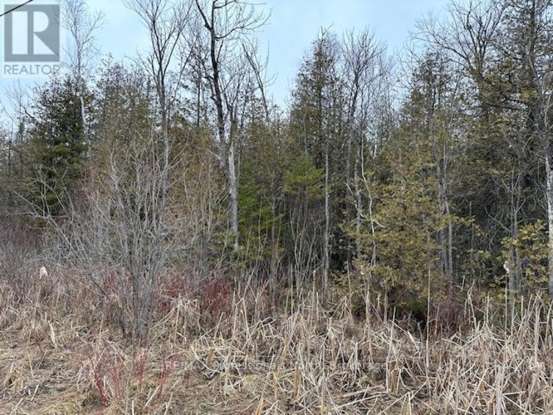 0 LAXTON BOUNDARY LINE, 