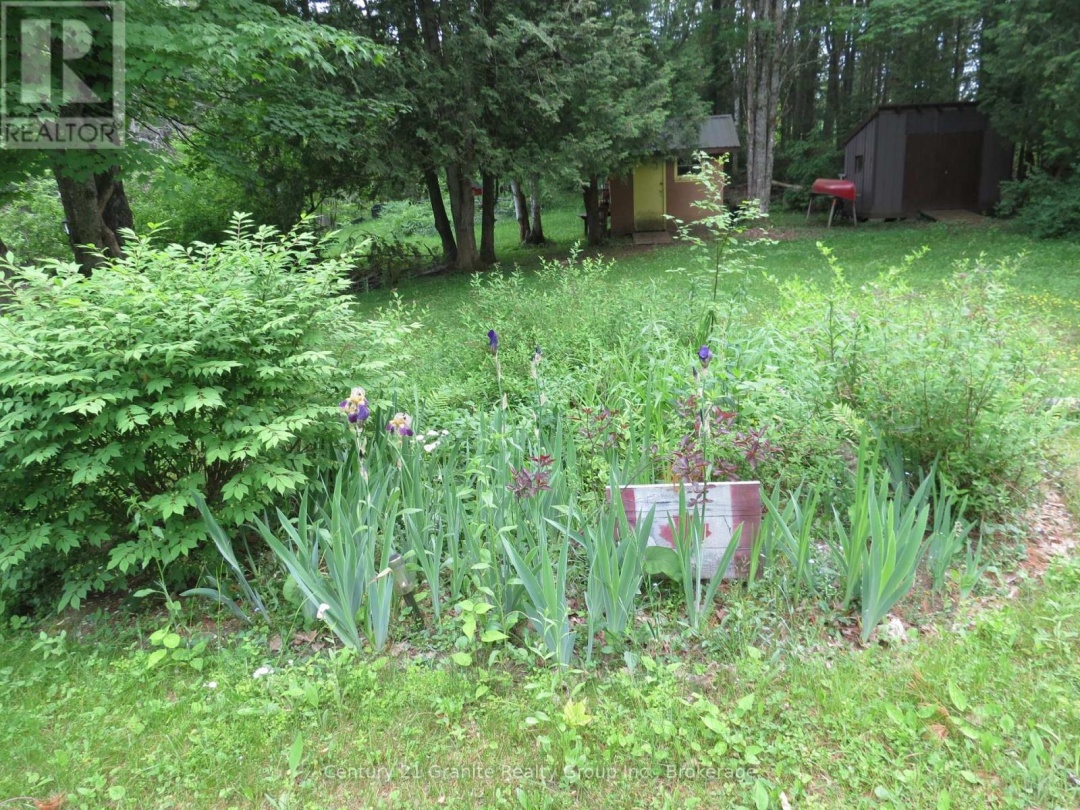 10208 COUNTY RD 503 ROAD, 