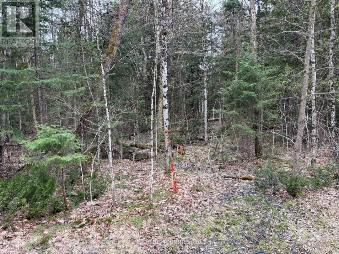 LOT 1 LOCH ERNE ROAD, McDougall
