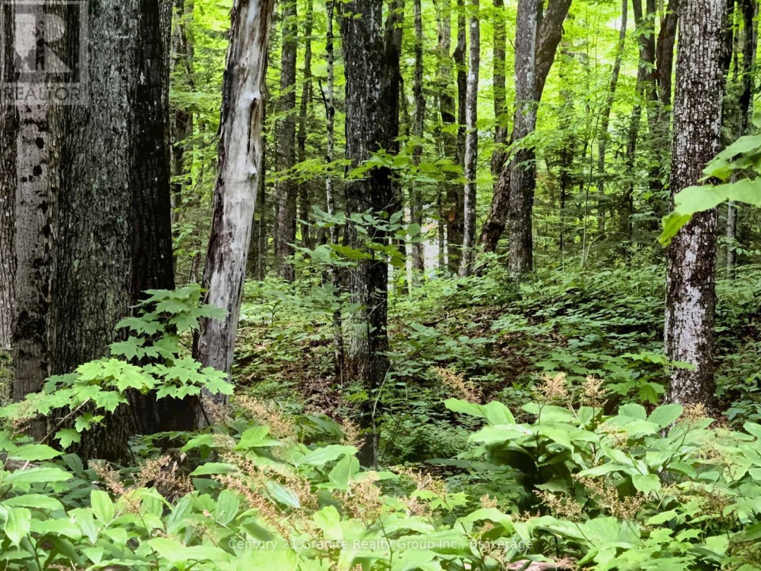 0 LOON LAKE ROAD, 