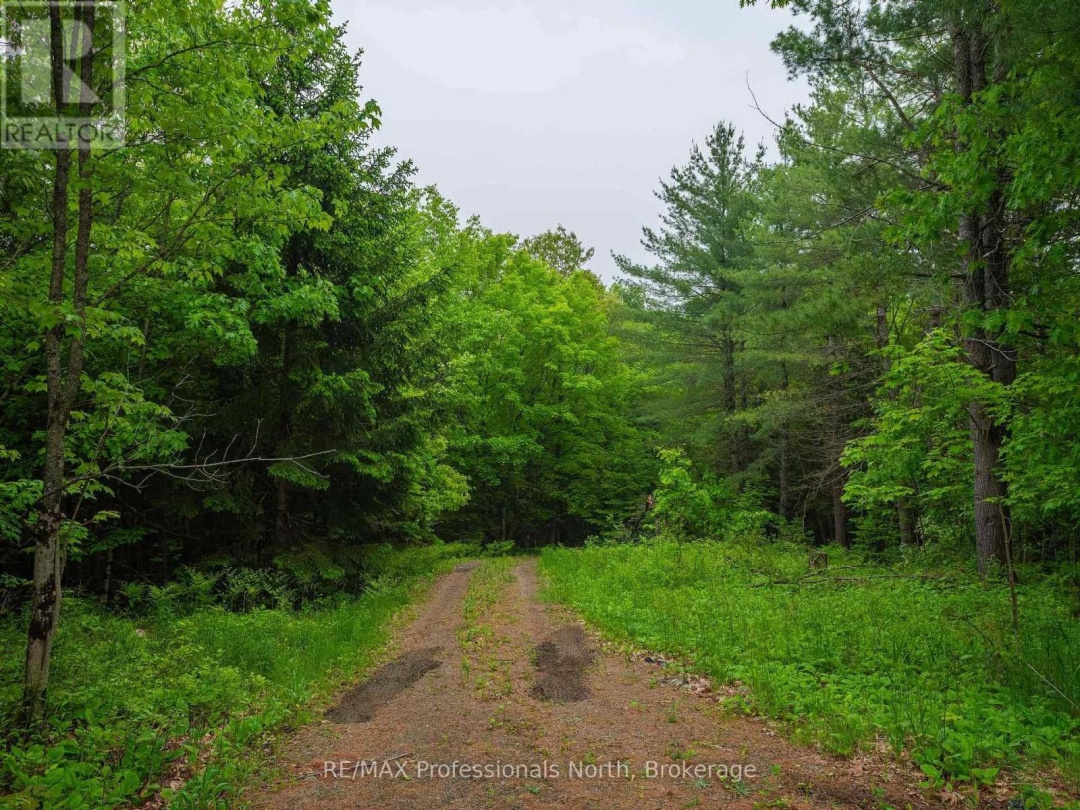 1129 KOSHLONG LAKE ROAD, 