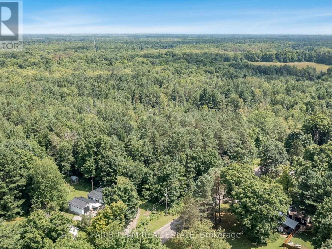 6928 COUNTY ROAD 169, Black Lake