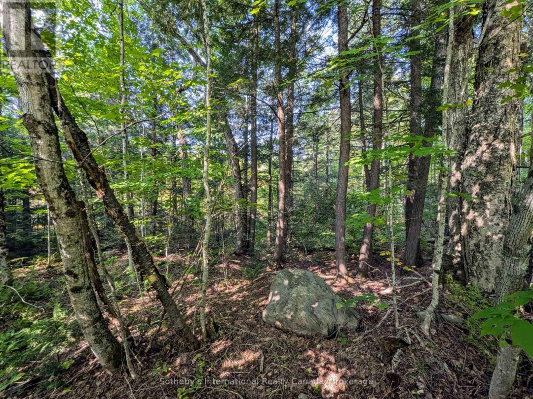 1031 HAVEN ROAD, 