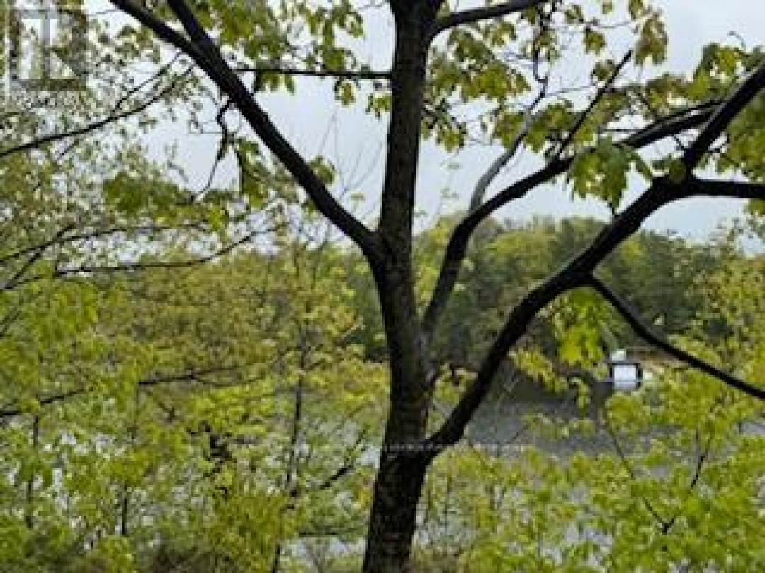 N/A Sunset Bay Road, Lake Muskoka