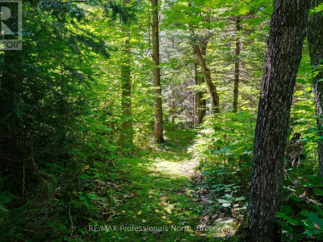 1237 WILLIAMSPORT ROAD, 