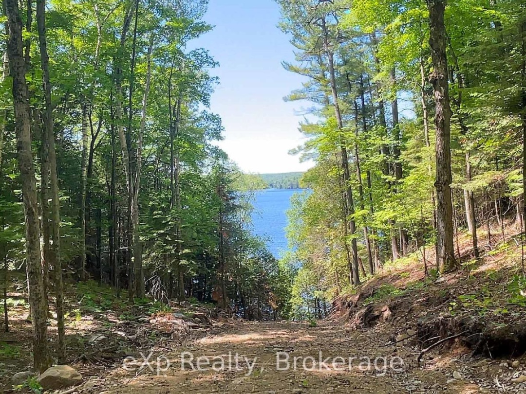 Lot # 4 Gonnsen Trail, Drag Lake