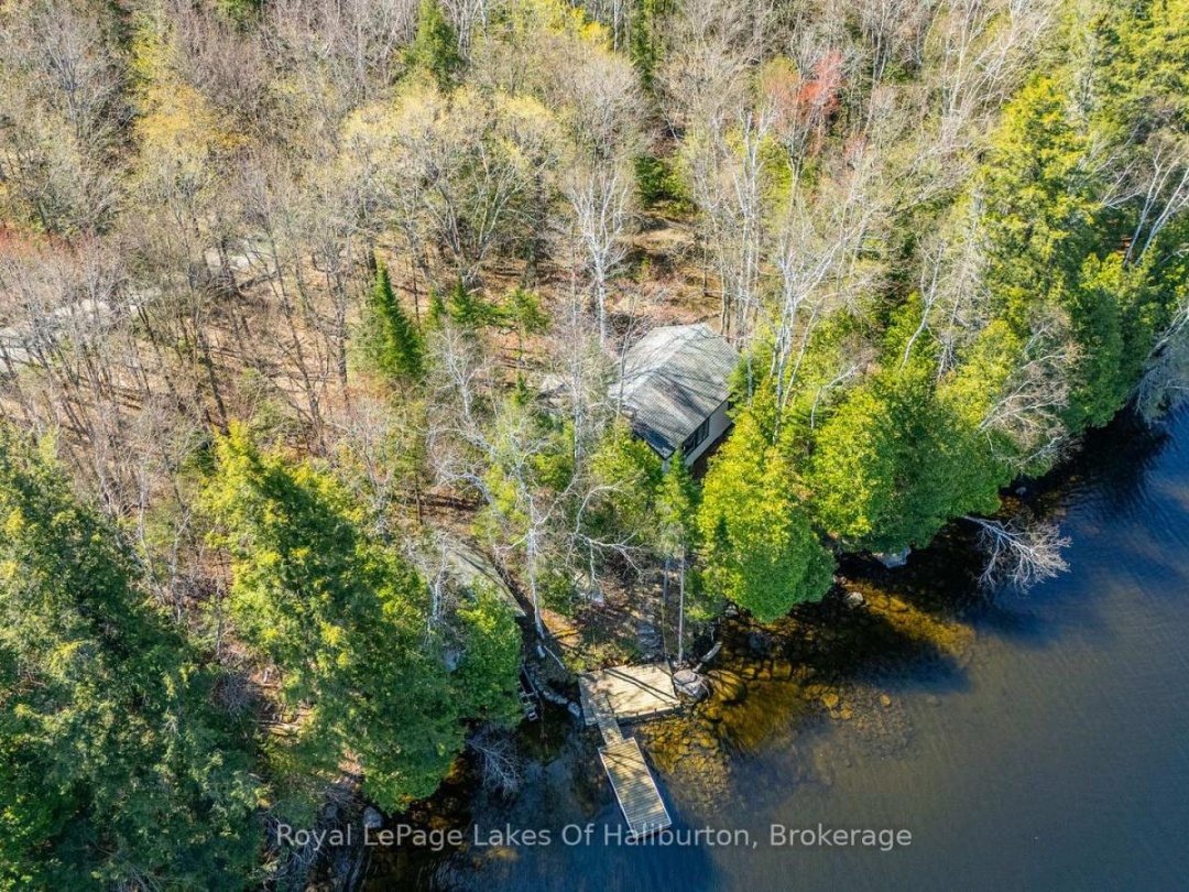 1096 Reg's Trail, Drag Lake