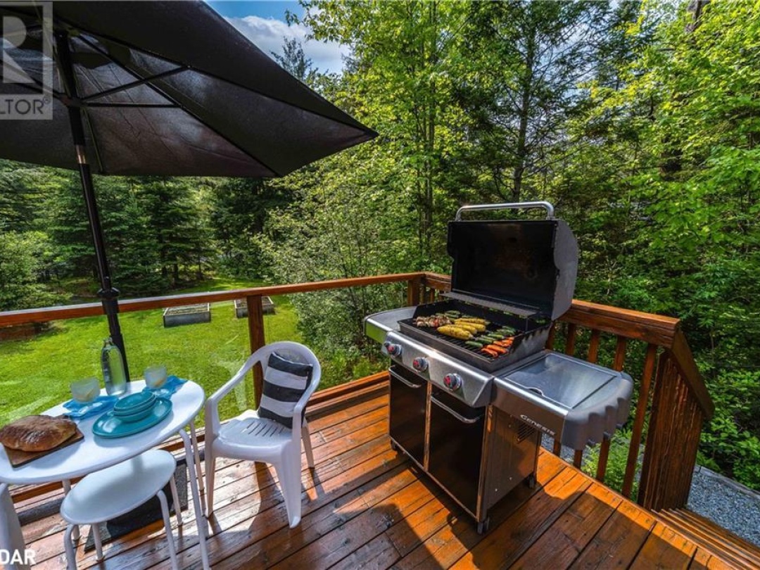 1065 Forrester Trail, Muskoka River