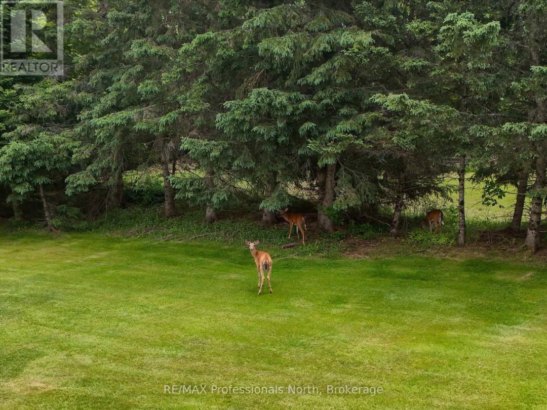 1287 GOLDEN BEACH ROAD, 