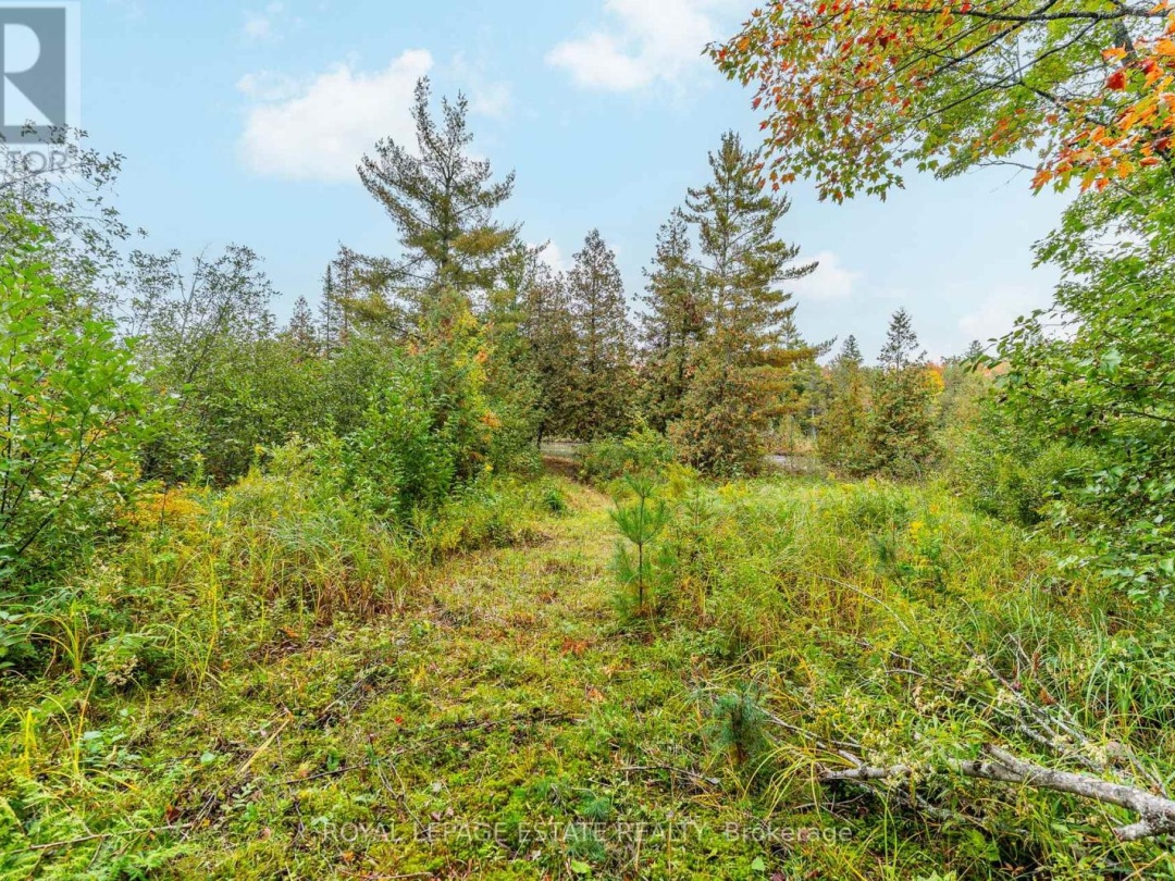 BLOCK B CREGO LAKE ROAD, 