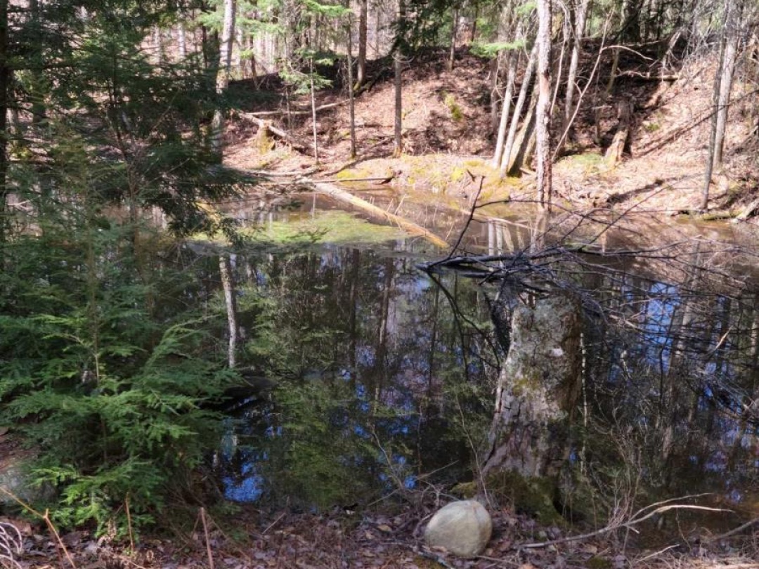 LOT 32 CONCESSION 11,